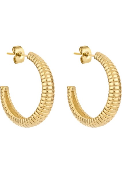 Orijinal Kadın Çelik Küpe DKJ.3.30008-2