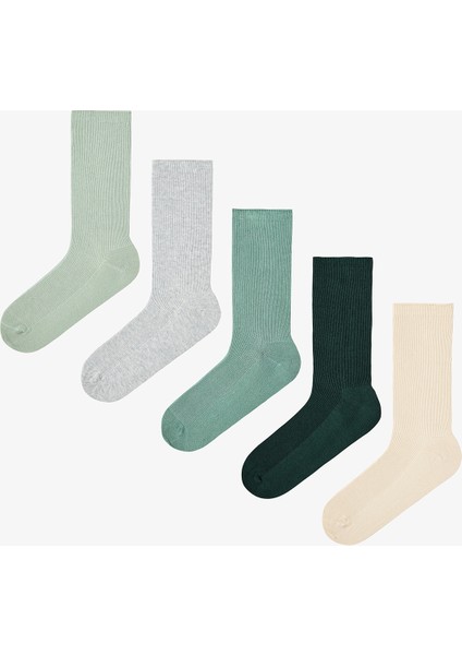 5 Çift Pamuklu Ribli Renkli Soket Çorap