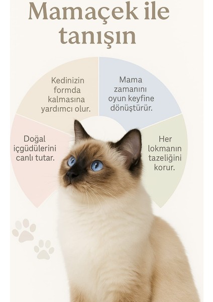 Izys Royal Mamaçek Akıllı Kedi Mama Dispenseri – Tavana Asılabilir, Eğlenceli ve Obeziteyi Önleyici Mama Oyuncağı fırsatları