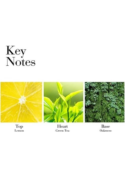 Elizabeth Arden Green Tea Honey Drops Vücut Kremi 250ML