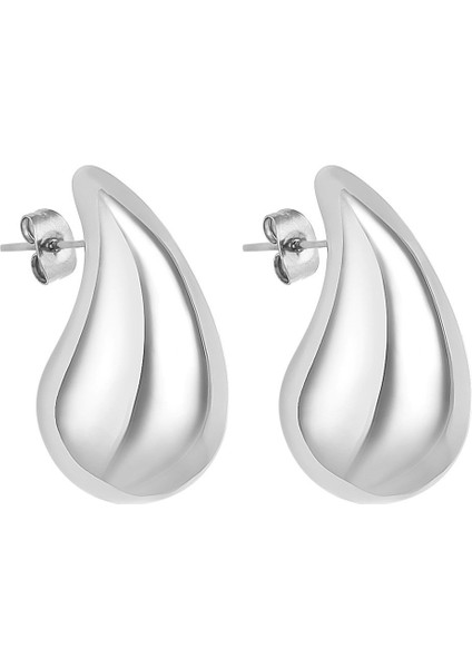 Orijinal Kadın Çelik Küpe DKJ.5.30006-2