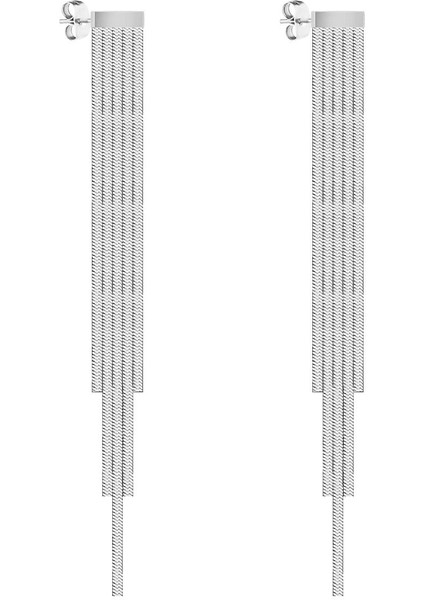 Orijinal Kadın Çelik Küpe DKJ.12.30002-1