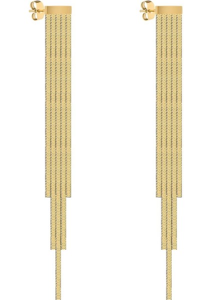 Orijinal Kadın Çelik Küpe DKJ.12.30002-2