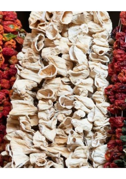 Gaziantep Yeni Mahsul Dolmalık Kabak 1 Dizi (50 Adet)