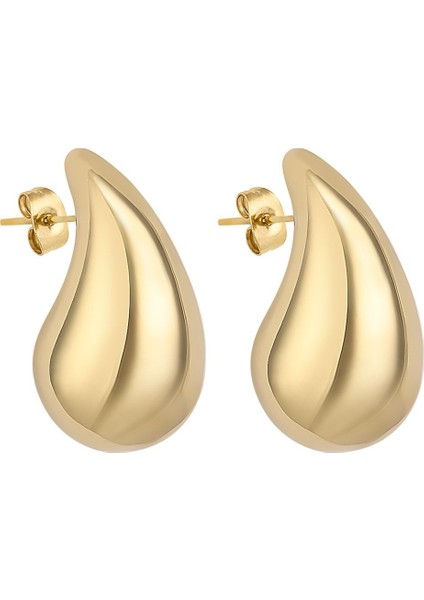 Orijinal Kadın Çelik Küpe DKJ.5.30006-1