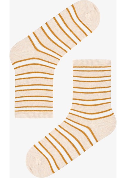 5 Çift Pamuklu Karışık Çizgi Desenli Soket Çorap fiyatları