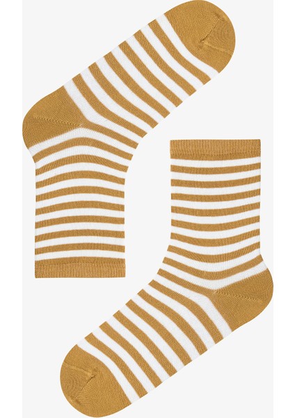 5 Çift Pamuklu Karışık Çizgi Desenli Soket Çorap modelleri