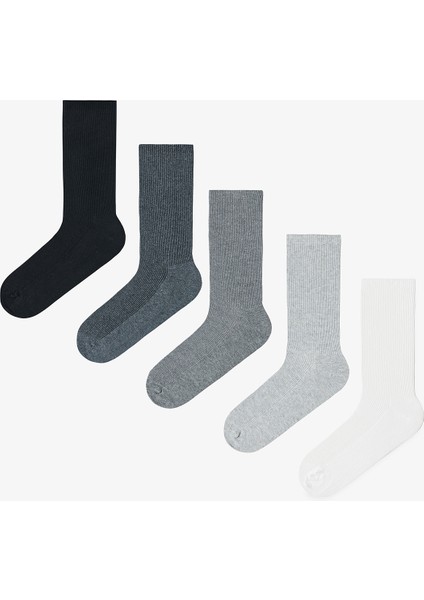 5 Çift Pamuklu Ribli Renkli Soket Çorap