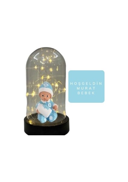 Fanus Teraryum Erkek Bebek