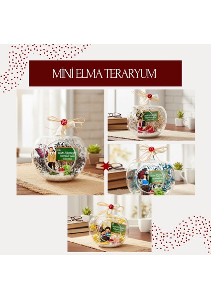 Mini Elma Teraryum - Öğretmenler Günü Hediyesi modelleri