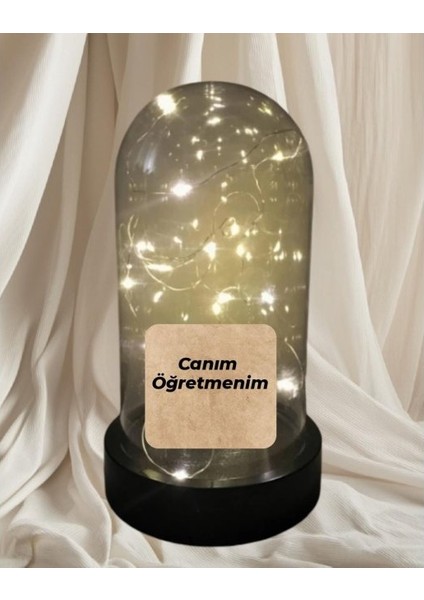 Fanus Teraryum Kişiye Özel Isim Yazı Yazılır modelleri