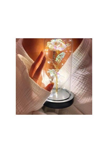 Fanus Teraryum Sonsuzluk Gül Işıklı