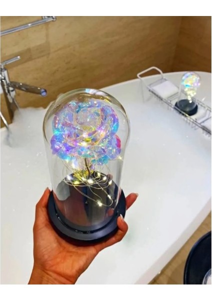 Fanus Teraryum Sonsuzluk Gül Işıklı fiyatları