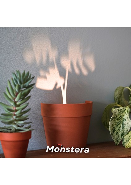 Hayalet Saksı modelleri