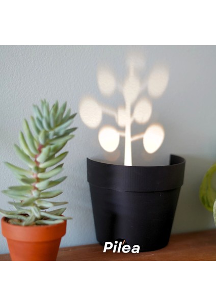 Hayalet Saksı fırsatları