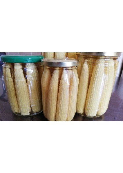 Mısır Turşusu (Baby Kocan Mısır Turşusu)Harras