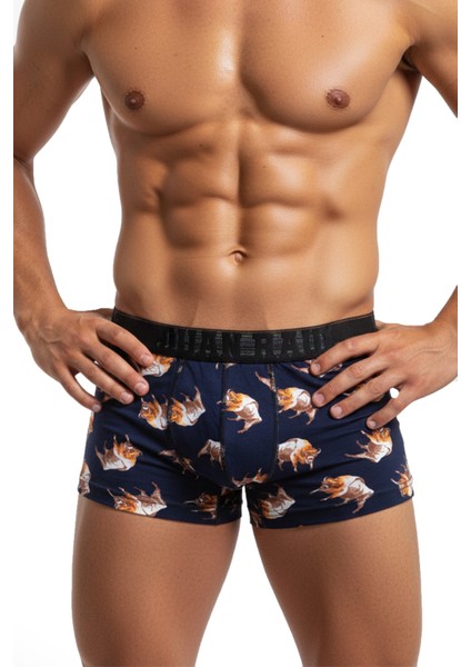 Erkek Çok Renkli 3’lü Desenli Boxer Seti – %95 Pamuk %5 Elastan Likralı Rahat Esnek Iç Giyim 2603105 fırsatları