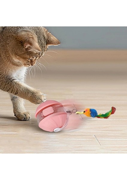 Şarjlı Hareketli Kedi Topu Oyuncak