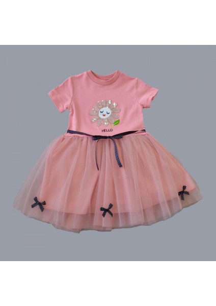1-2-3 Yaş Payet Yapraklı Çiçek Nakışlı Astarlı Kız Bebek Tütü Elbisesi fiyatları