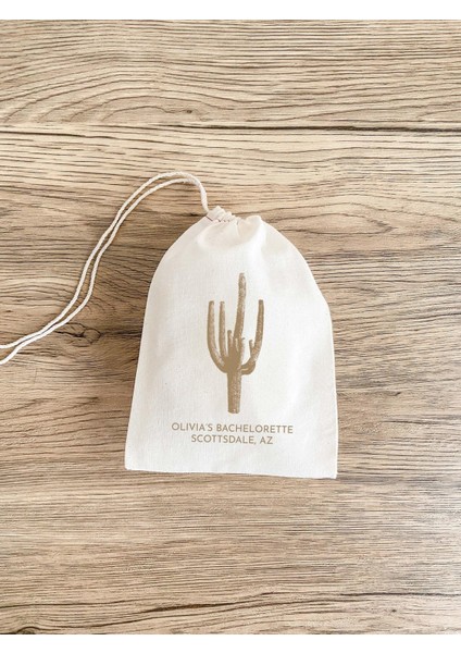 Kaktüs Hediye Çantaları: Bekarlığa Veda Partisi Akşamdan Kalma Kitleri fiyatları