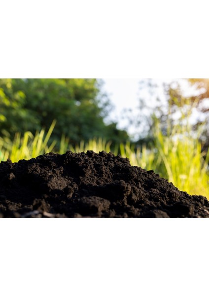 Katkısız Doğal Bahçe Toprağı 5 Litre fiyatları