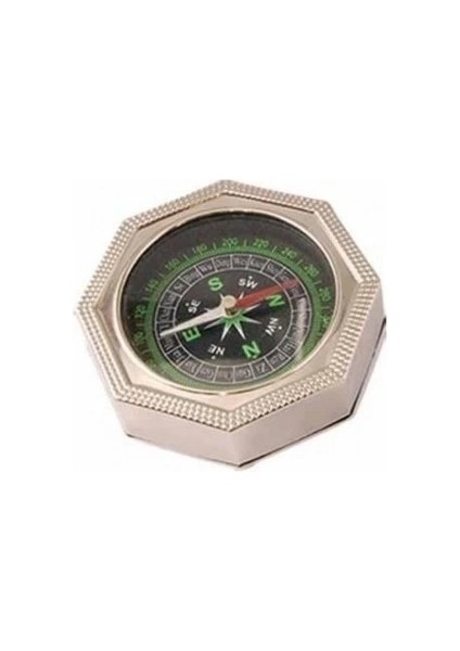 -Sekiz Köşeli Büyük Metal Pusula fiyatları