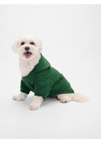 Kadın Koyu Yeşil Gap Logo Köpek Kıyafeti