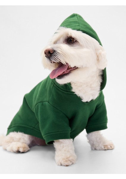 Kadın Koyu Yeşil Gap Logo Köpek Kıyafeti modelleri