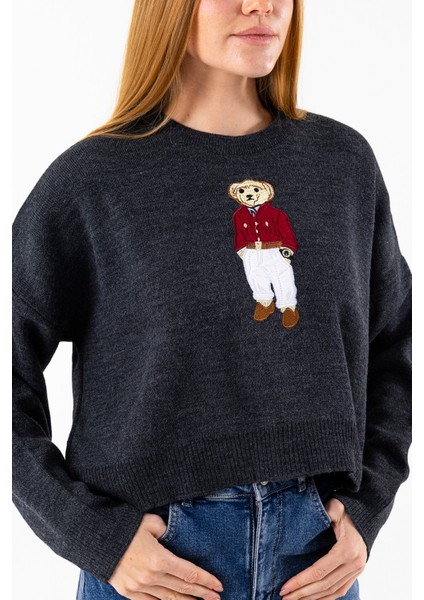 Kadın Bisiklet Yaka Kostümlü Ayıcık Nakışlı Triko Kazak Antrasit - 2344 indirimleri