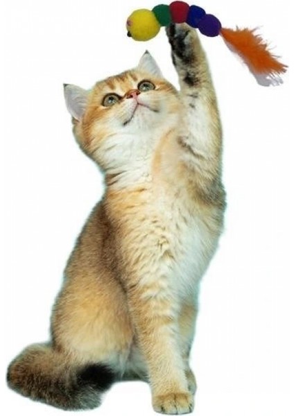 Yumuşacık Ipli Tırtıl Şeklinde Rengarenk Sevimli Evcil Hayvan Oyuncağı fiyatları