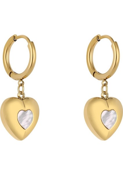 Orijinal Kadın Çelik Küpe DKJ.3.30012-2