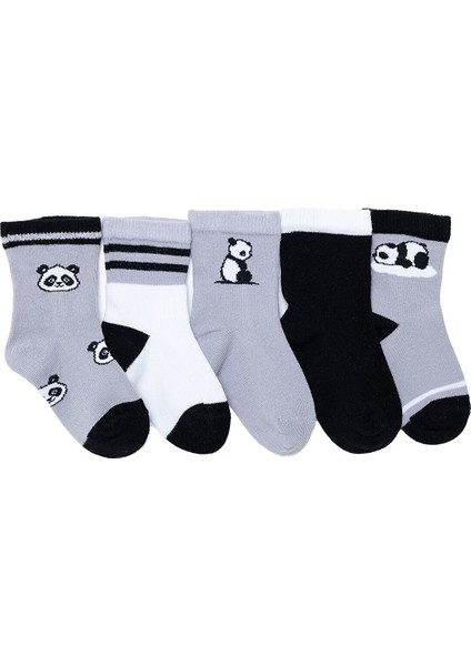 Erkek Bebek 5'li Soket Çorap fiyatları