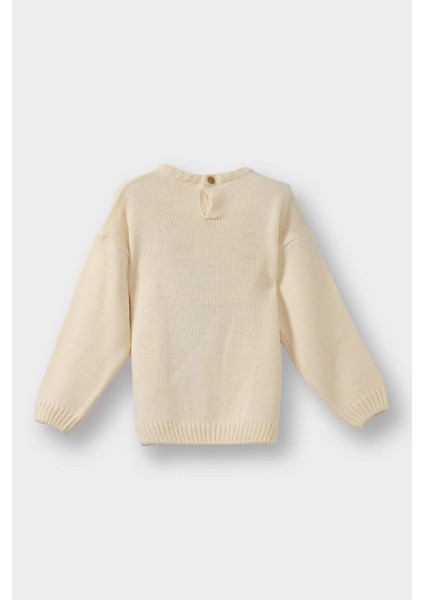 Kız Bebek Regular Fit Büyük Yaka Ayı Baskılı KAZAK G3304A525WN fırsatları