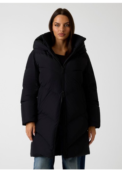 Standart Siyah Kadın Ceket Eleonor Kadın Ceket fiyatları