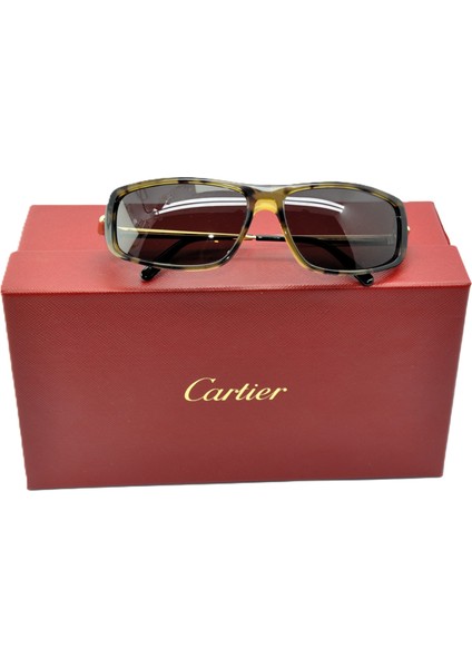 Avoriaz Bufallo Horn C Dekor Wayfarer Kahverengi Havana Güneş Gözlüğü