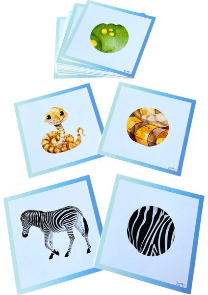 Desen Eşleme Kartları/ Dikkat Odaklanma Etkinlik fiyatları