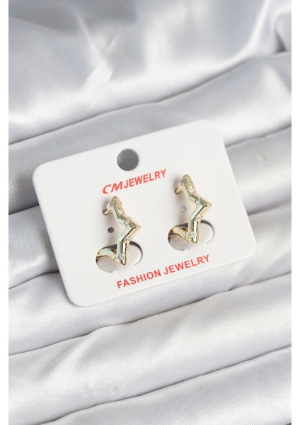 Pirinç Gold Renk Yıldız Model Kadın Küpe - TJ-BKP11243