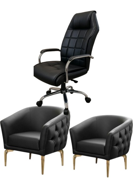 Ofis Büro Koltuğu 2 Adet Tekli Koltuk ve Makam Koltuğu