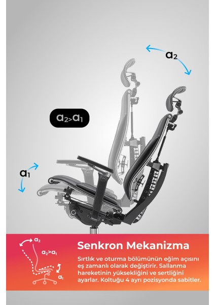 Yoga Ergonomik Koltuk | Bel Destekli, Tekerlekli, Yükseklik Ayarlı, Deri Yönetici Koltuğu - A5.F.5.13A modelleri