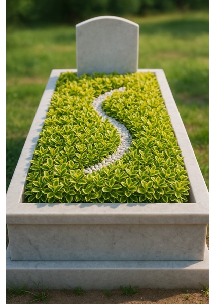 MEZAR - KABİR SARI BİTKİ SETİ - 45 ADET GOLD TAFLAN + 20 KG DOLOM fiyatları