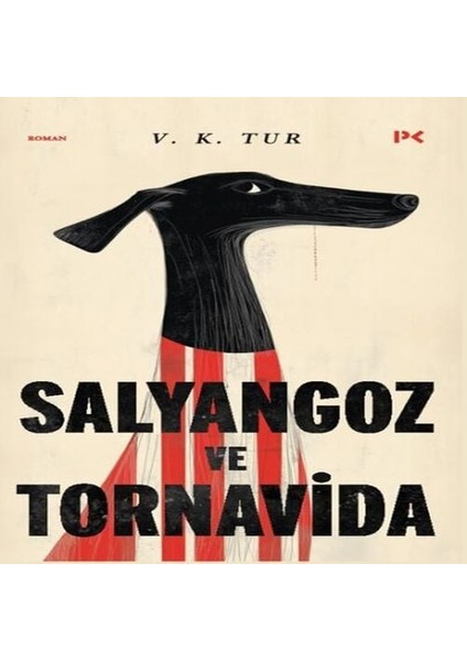 Salyangoz ve Tornavida