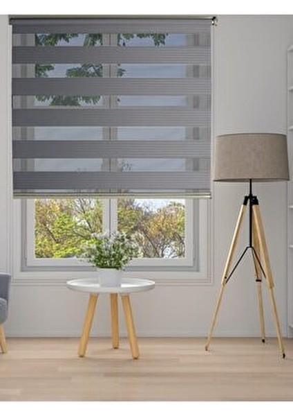 Pliseli Gri Zebra Perde Düz Tema ile Mutfak ve Ofisler İçin Şık Seçim fırsatları