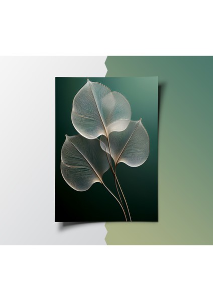 Çerçevesiz Poster 2'li Set, Soyut Minimal Şeffaf Yaprak,çiçek Desenli,modern ,soyut Poster fiyatları