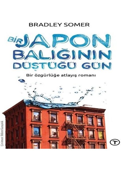 Bir Japon Balığının Düştüğü Gün