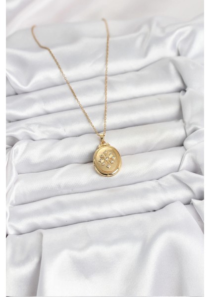 316L Çelik Zincir Gold Renk Kapaklı Açılabilir Model Kadın Kolye fiyatları