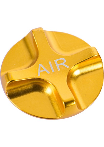 2pcs Bike Hava Gazı Shcrader Amerikan Valf Kapakları Bisiklet Süspansiyon Bisiklet Ön Çatal Parçaları Mtb Yol Bıke - Mavi ve Altın (Yurt Dışından) modelleri