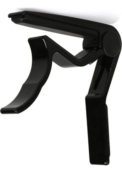 Gitar Ve Bağlama Kaposu fiyatları