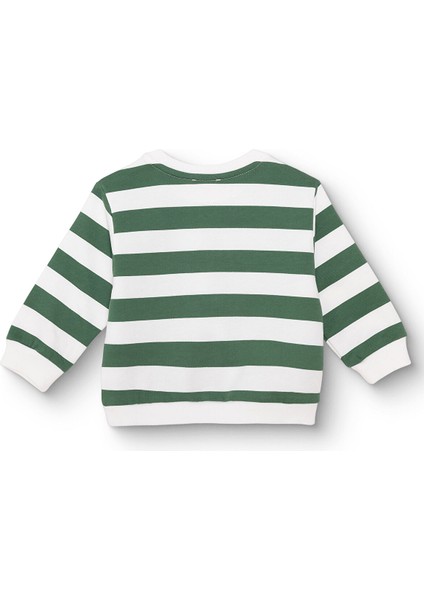 Erkek Bebek Sweatshirt Şardonlu Iki Iplik Bisiklet Yaka Uzun Kol fiyatları