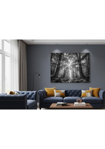 Siyah Beyaz Orman Manzarası Kanvas Tablo | Güneş Hüzmeleriyle Büyülü Doğa Yatay Tablo fiyatları