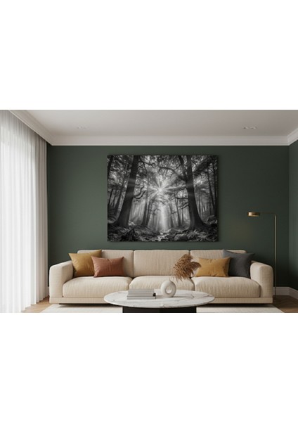 Siyah Beyaz Orman Manzarası Kanvas Tablo | Güneş Hüzmeleriyle Büyülü Doğa Yatay Tablo modelleri